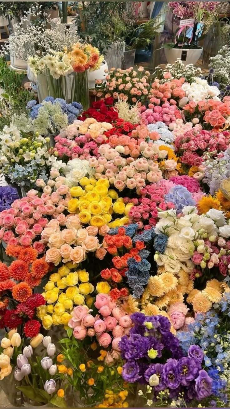 Celestial Whisper Blossom Assortment